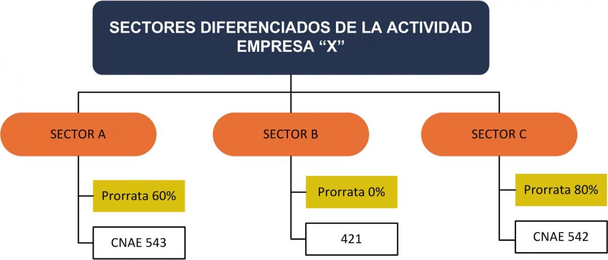 Sectores diferenciados de la actividad