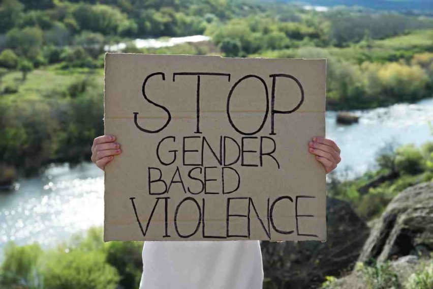 Técnico/a en Violencia de Género