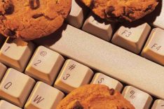 Cookies y Protección de Datos Personales