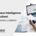Business Intelligence Consultant