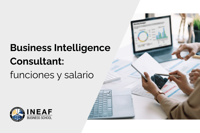 Business Intelligence Consultant