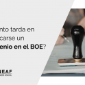 cuanto tarda en publicarse convenio en el boe