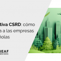 directiva csrd