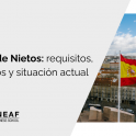 Ley de Nietos