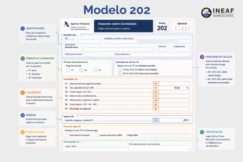 Modelo 202