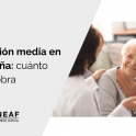 pensión media