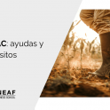 PEPAC