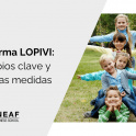 reforma LOPIVI