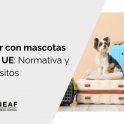 Viajar con mascotas en la UE